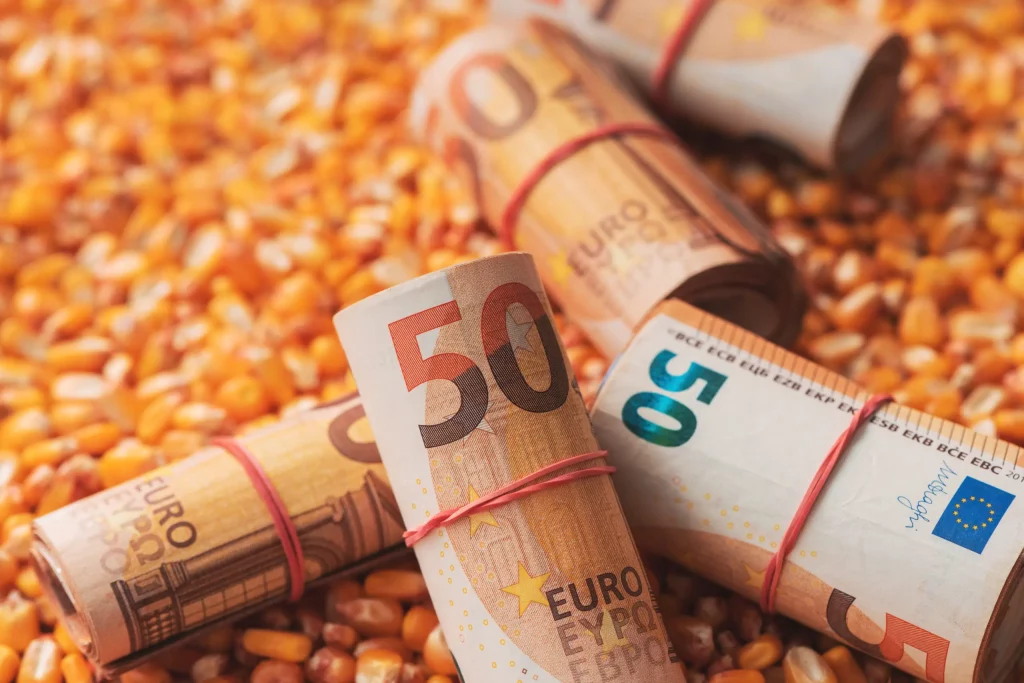 Tightly rolled stacks of fifty-euro banknotes, symbolizing European currency and wealth.